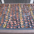 Figs cut & laid out for drying outside.