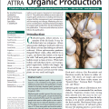 Garlic: Organic Production