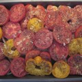 Roasting tomatoes