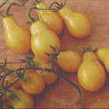 Yellow Pear Tomato from Territorial Seed Co.