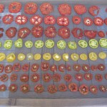 Drying tomatoes outdoors