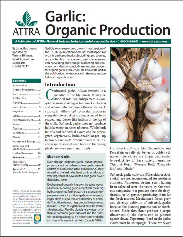 Garlic: Organic Production