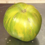 Green Zebra tomato from 2013 harvest