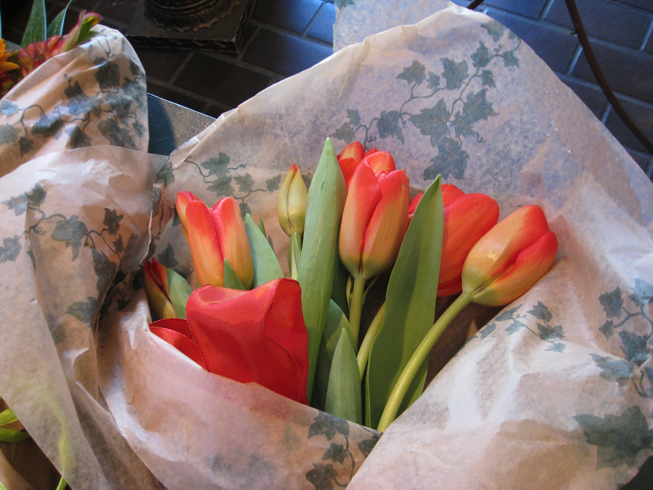 Aside Post - The Plant Lady