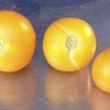 Yellow Perfection tomatoes from 2014 harvest