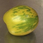 Green Zebra tomato from 2014 harvest
