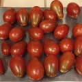 Black Plum tomatoes from 2014 harvest