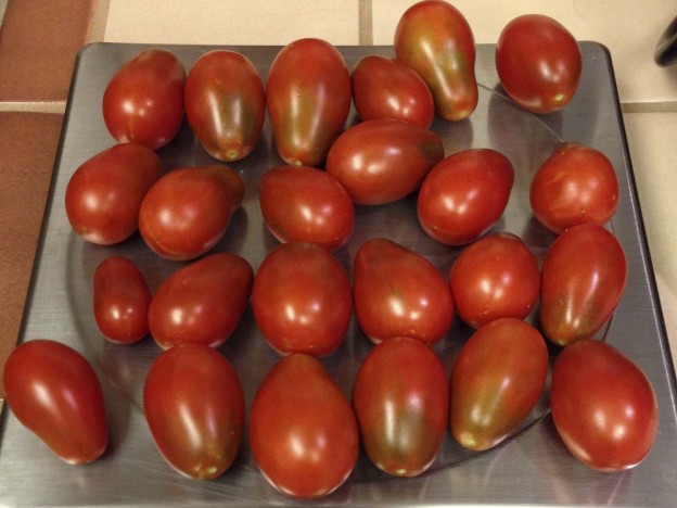 Black Plum tomatoes from 2014 harvest