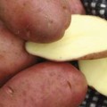 Territorial Seed Co: Desiree Potato