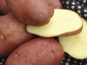 Territorial Seed Co: Desiree Potato